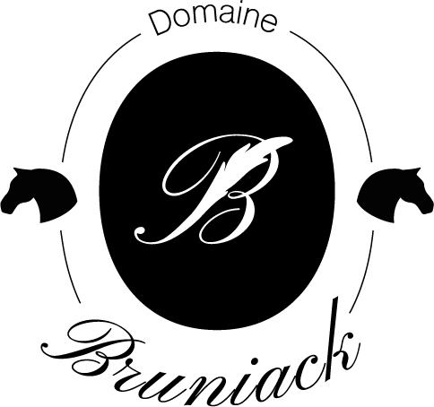 domainedebruniack